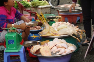 Gia cầm không kiểm dịch xuống đường